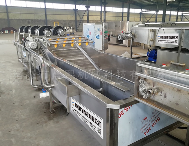 余甘子橄欖清洗機