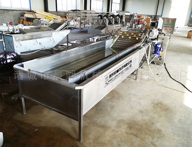 小型果蔬清洗機(jī)生產(chǎn)廠家