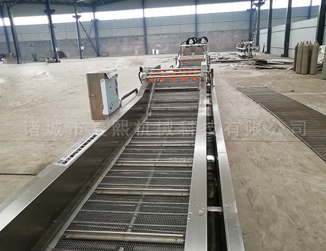 小西紅柿清洗機(jī)