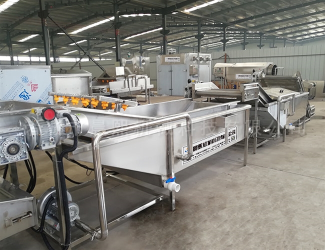 紅棗自動清洗機(jī) 氣泡式洗棗機(jī)