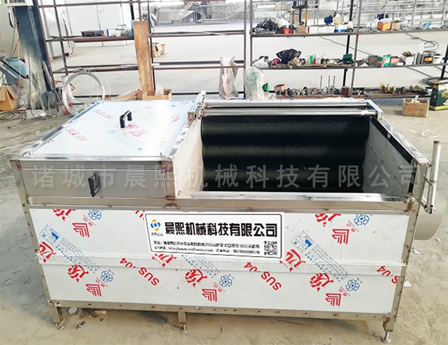 核桃脫皮清洗機價格