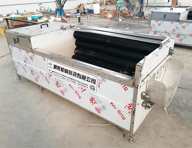 核桃脫皮清洗機(jī)