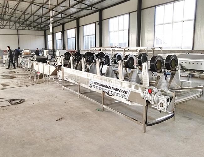 翻轉(zhuǎn)風干流水線